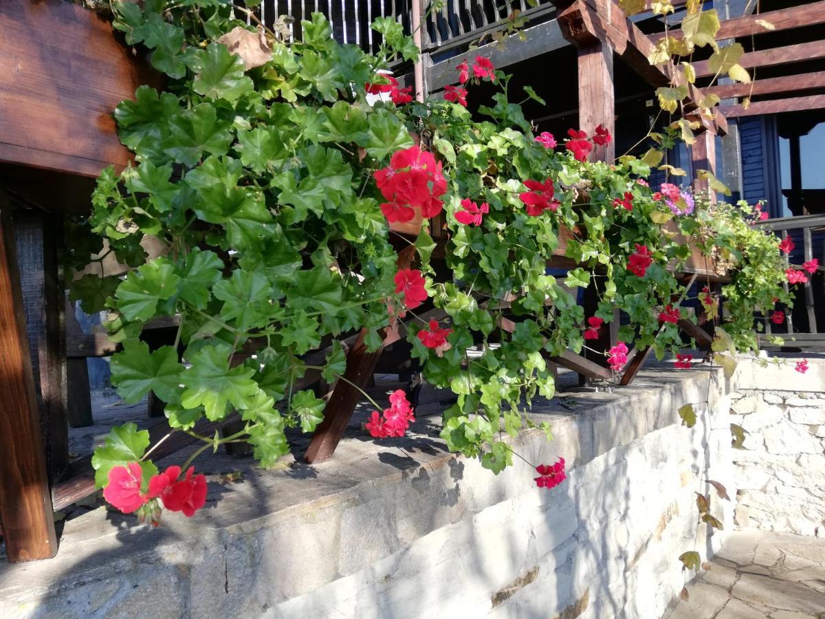 Trifon Zarezan Family Hotel Glavatartsi Exterior foto